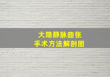 大隐静脉曲张手术方法解剖图