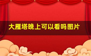 大雁塔晚上可以看吗图片