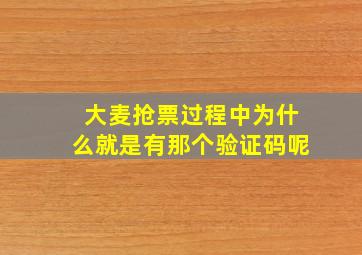 大麦抢票过程中为什么就是有那个验证码呢