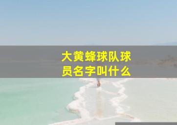 大黄蜂球队球员名字叫什么