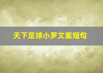 天下足球小罗文案短句