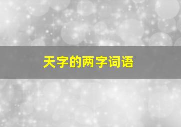 天字的两字词语