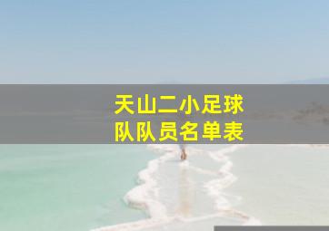 天山二小足球队队员名单表