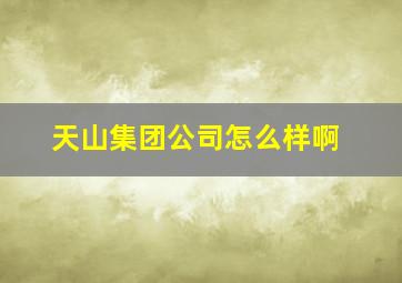 天山集团公司怎么样啊