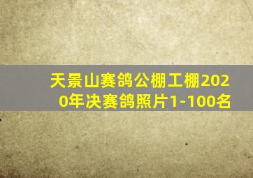 天景山赛鸽公棚工棚2020年决赛鸽照片1-100名