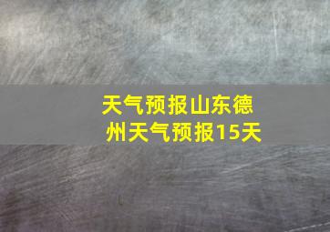 天气预报山东德州天气预报15天