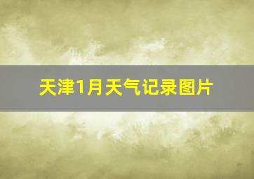 天津1月天气记录图片