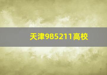 天津985211高校