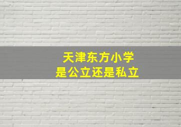 天津东方小学是公立还是私立