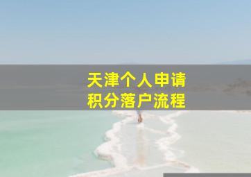 天津个人申请积分落户流程