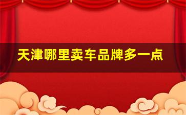 天津哪里卖车品牌多一点