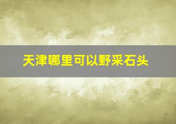 天津哪里可以野采石头