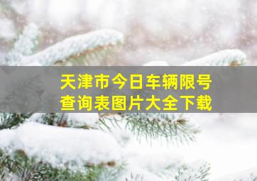 天津市今日车辆限号查询表图片大全下载