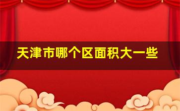 天津市哪个区面积大一些