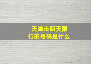 天津市明天限行的号码是什么