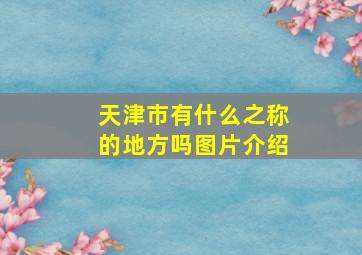 天津市有什么之称的地方吗图片介绍