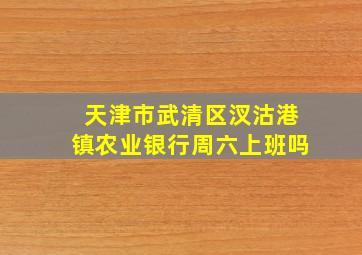 天津市武清区汊沽港镇农业银行周六上班吗