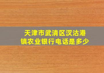 天津市武清区汊沽港镇农业银行电话是多少