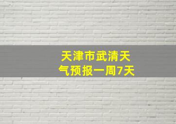 天津市武清天气预报一周7天