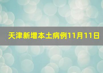 天津新增本土病例11月11日