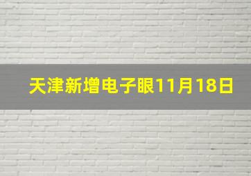 天津新增电子眼11月18日