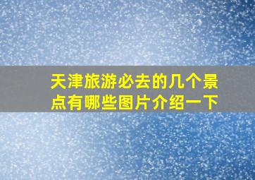 天津旅游必去的几个景点有哪些图片介绍一下