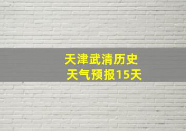 天津武清历史天气预报15天