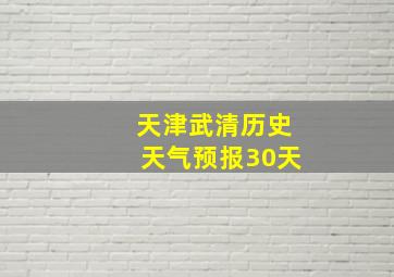 天津武清历史天气预报30天