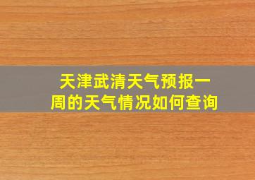 天津武清天气预报一周的天气情况如何查询