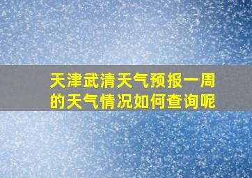 天津武清天气预报一周的天气情况如何查询呢