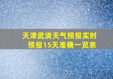 天津武清天气预报实时预报15天准确一览表