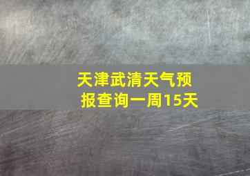 天津武清天气预报查询一周15天