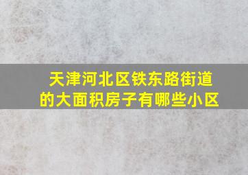 天津河北区铁东路街道的大面积房子有哪些小区