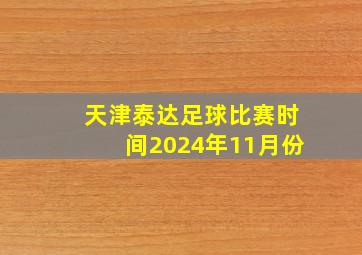 天津泰达足球比赛时间2024年11月份