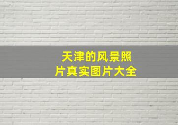 天津的风景照片真实图片大全