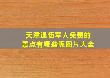 天津退伍军人免费的景点有哪些呢图片大全