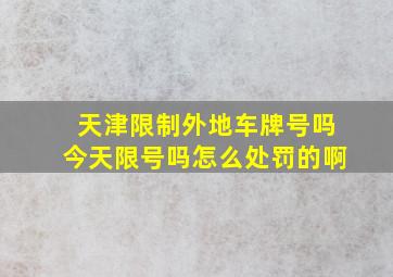 天津限制外地车牌号吗今天限号吗怎么处罚的啊