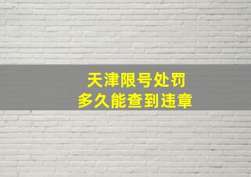 天津限号处罚多久能查到违章