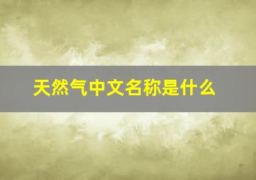 天然气中文名称是什么