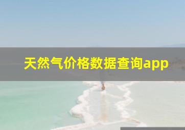 天然气价格数据查询app