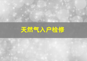 天然气入户检修