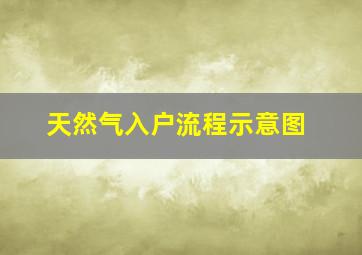 天然气入户流程示意图