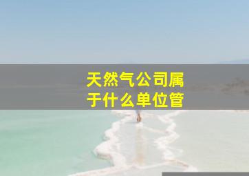 天然气公司属于什么单位管