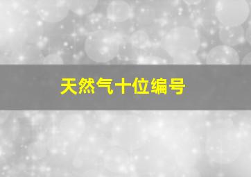 天然气十位编号