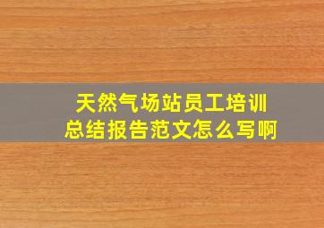 天然气场站员工培训总结报告范文怎么写啊