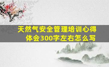 天然气安全管理培训心得体会300字左右怎么写