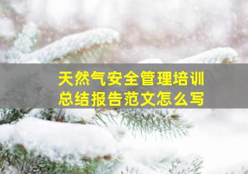 天然气安全管理培训总结报告范文怎么写