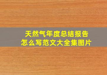 天然气年度总结报告怎么写范文大全集图片