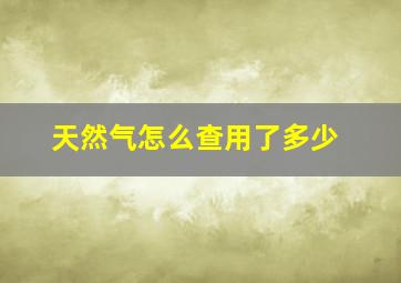 天然气怎么查用了多少