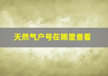 天然气户号在哪里查看